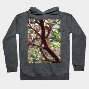 Manzanita Backlight Hoodie